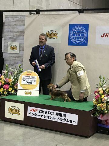 1550422450860.jpg